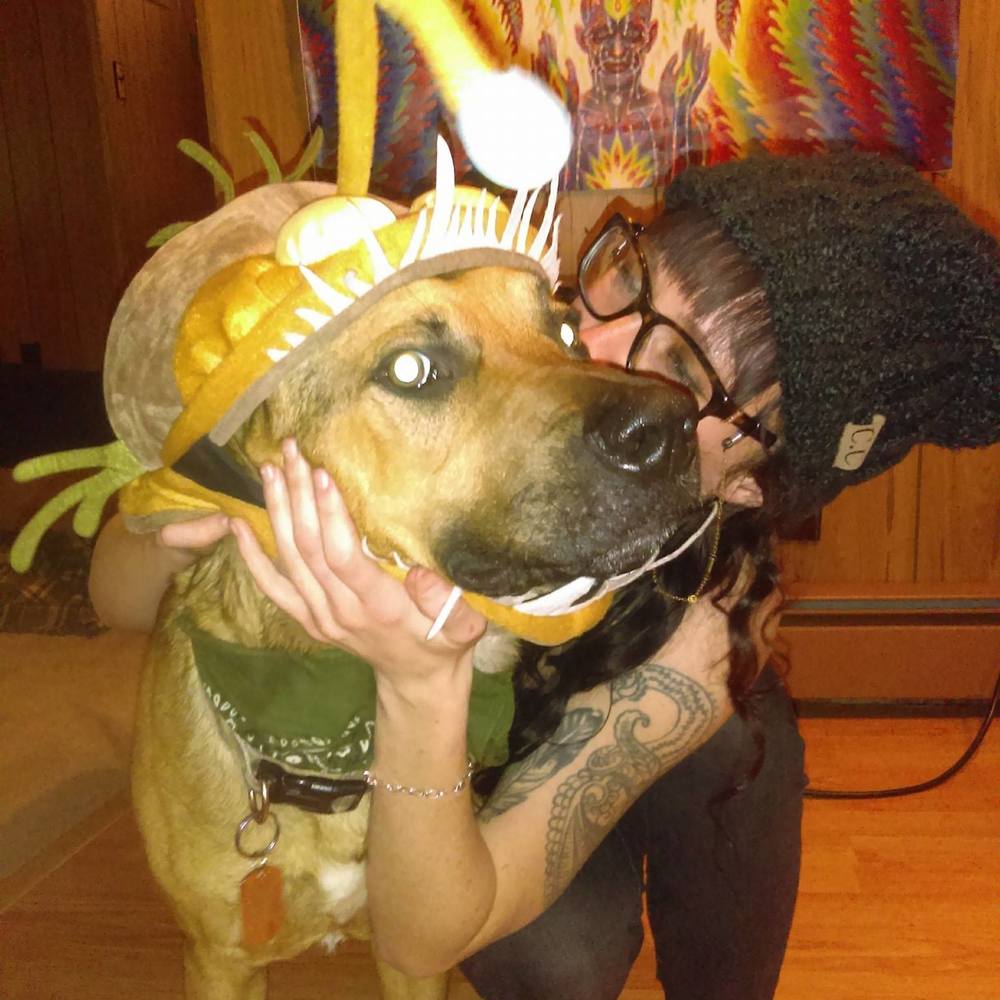 Meet your Posher, Kia